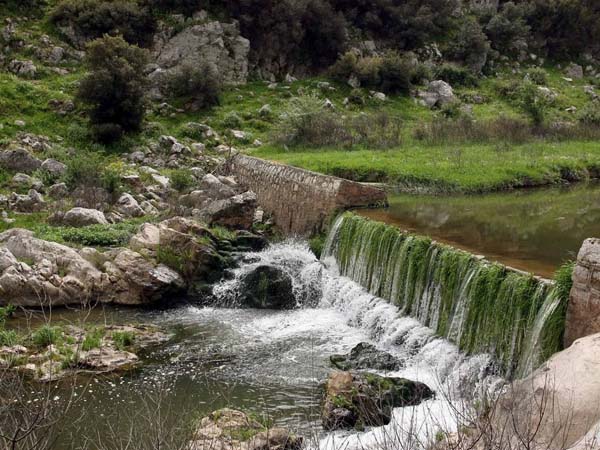 Εικόνα Ανάρτησης